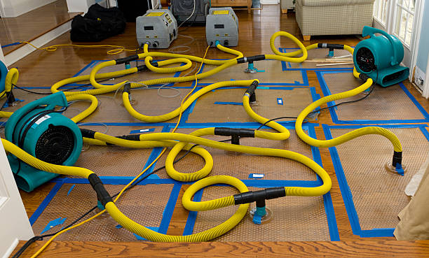 Professional Burst Pipe Water Damage technician working in Bluffton, OH